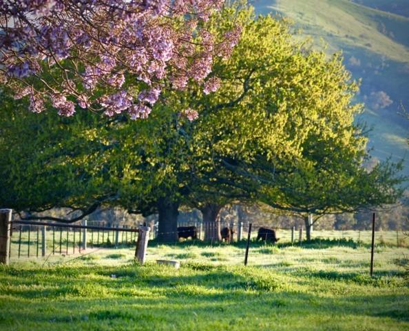 Farm stay Alexandra Farmstay Alexandra